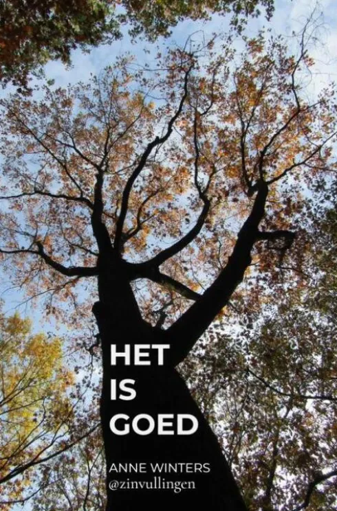 Het is goed