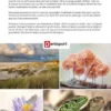 Het natuur puzzelboek