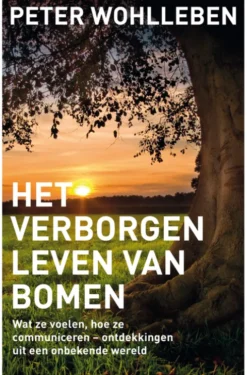 Het verborgen leven van bomen
