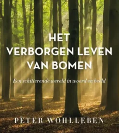 Het verborgen leven van bomen