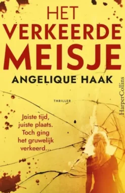 Het verkeerde meisje