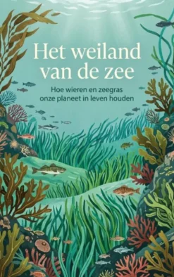Het weiland van de zee