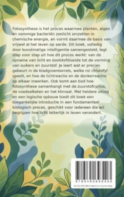 Hoe fotosynthese werkt