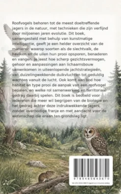 Hoe roofvogels jagen