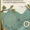 Hoe spinnen hun web bouwen