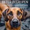 Honden beter begrijpen