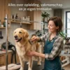 Hondentrimmer worden