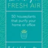 How To Grow Fresh Air