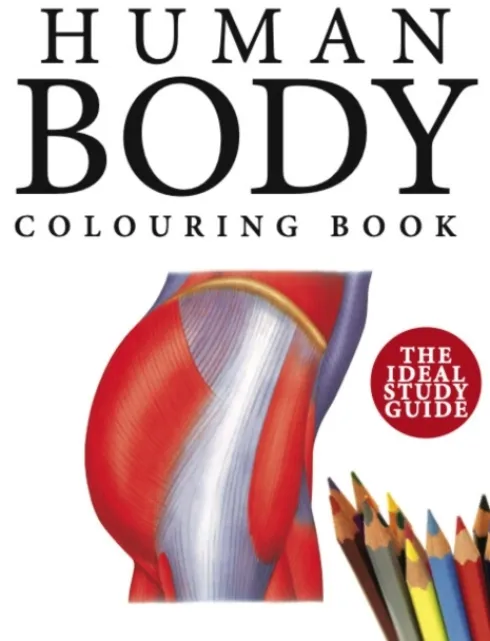 Human Body Colouring Book