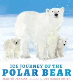 Ice Journey of the Polar Bear