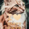 I love Happy Cats Revolutie