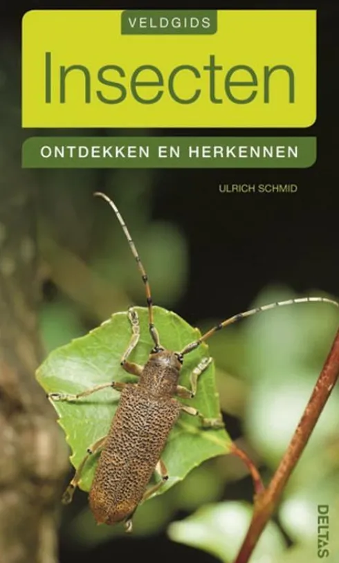 Insecten