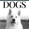 Inspiring Resilience in Fearful and Reactive Dogs