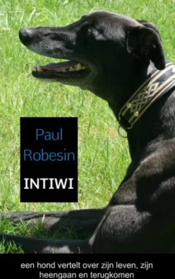 Intiwi