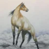 Into The Wind