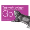 Introducing Go