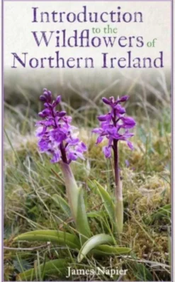 Introduction to the Wildflowers of Northern Ireland
