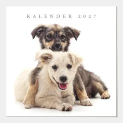 Jaarkalender Honden 2027