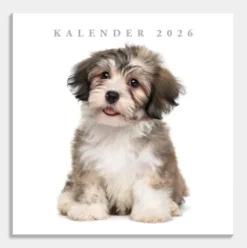 Jaarkalender Honden 2026