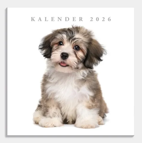 Jaarkalender Honden 2026