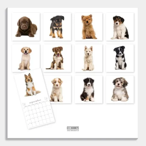 Jaarkalender Honden 2026
