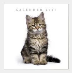 Jaarkalender Katten 2027