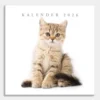 Jaarkalender Katten 2026
