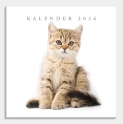 Jaarkalender Katten 2026