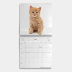 Jaarkalender Katten 2026