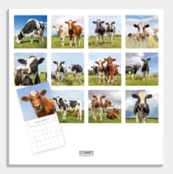 Jaarkalender Koeien 2026