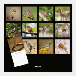 Jaarkalender Vogels 2027