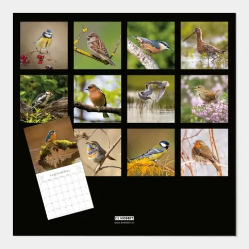Jaarkalender Vogels 2027