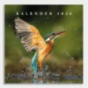 Jaarkalender Vogels 2026