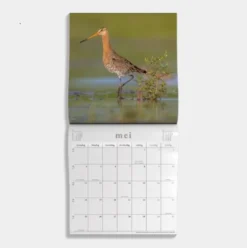 Jaarkalender Vogels 2026