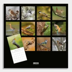 Jaarkalender Vogels 2026
