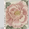 John Derian Picture Book II