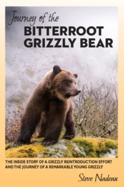 Journey of the Bitterroot Grizzly Bear