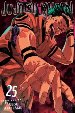 Jujutsu Kaisen, Vol. 25