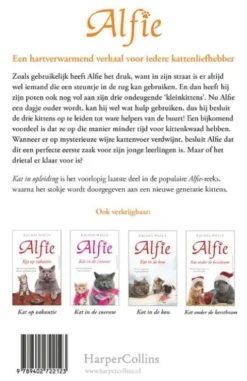 Kat in opleiding