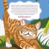 Katten - Kleurplaten op nummer