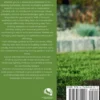 Landscape Design and Construction