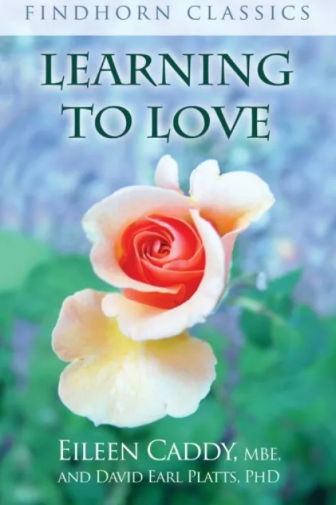 Learning to Love