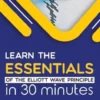 Learn the Essentials of The Elliott Wave Principle in 30 Minutes