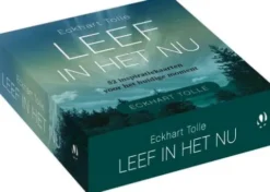 Leef in het Nu