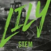LILY: Stem
