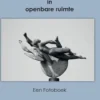 Limburgse beelden