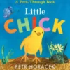 Little Chick