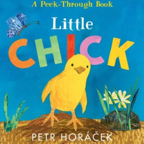 Little Chick