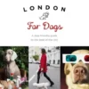 London For Dogs