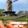 Loosduinen saai?! Echt niet!